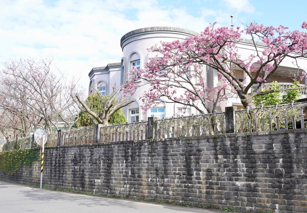 陽明山平菁街櫻花巷櫻花炸開了|平菁街42巷櫻花美拍攻略,怎麼去,怎麼拍 - 第4張圖 陽明山平菁街櫻花巷櫻花炸開了|平菁街42巷櫻花美拍攻略,怎麼去,怎麼拍