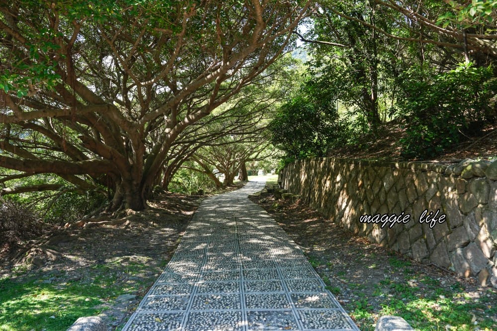 北投硫磺谷步道，走在仙境之中的步道，還有免費泡腳池～