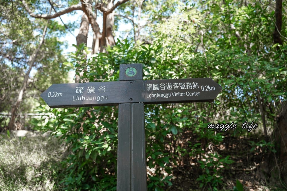 北投硫磺谷步道，走在仙境之中的步道，還有免費泡腳池～