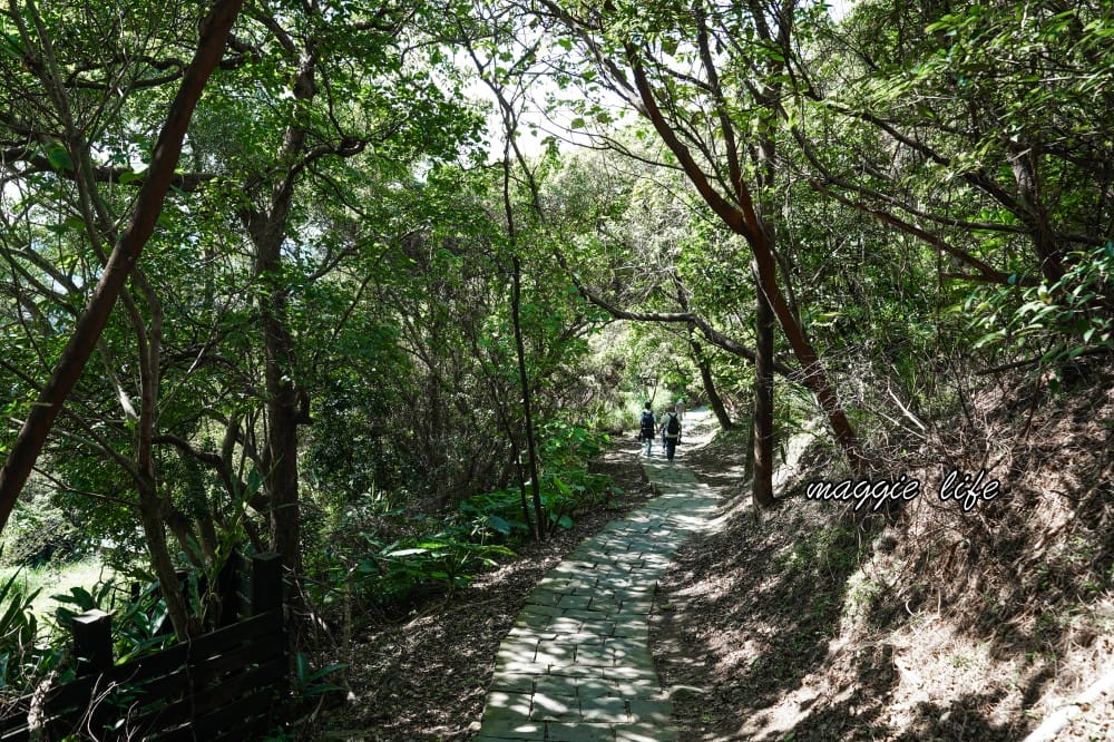 北投硫磺谷步道，走在仙境之中的步道，還有免費泡腳池～