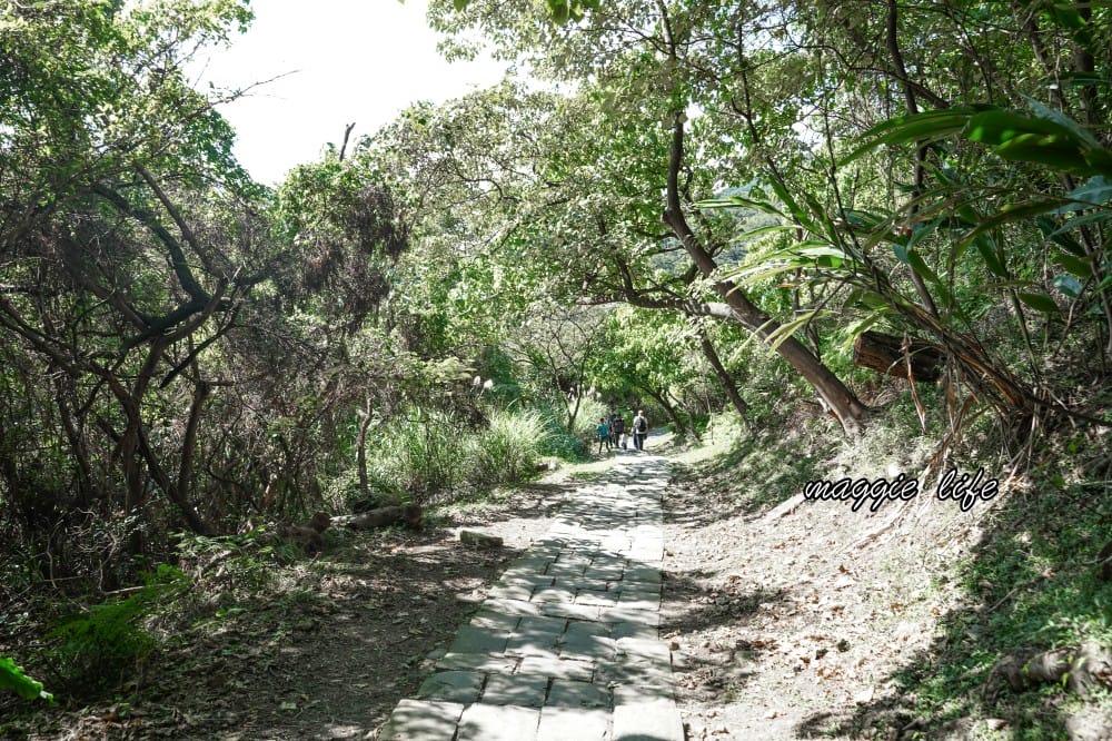 北投硫磺谷步道，走在仙境之中的步道，還有免費泡腳池～