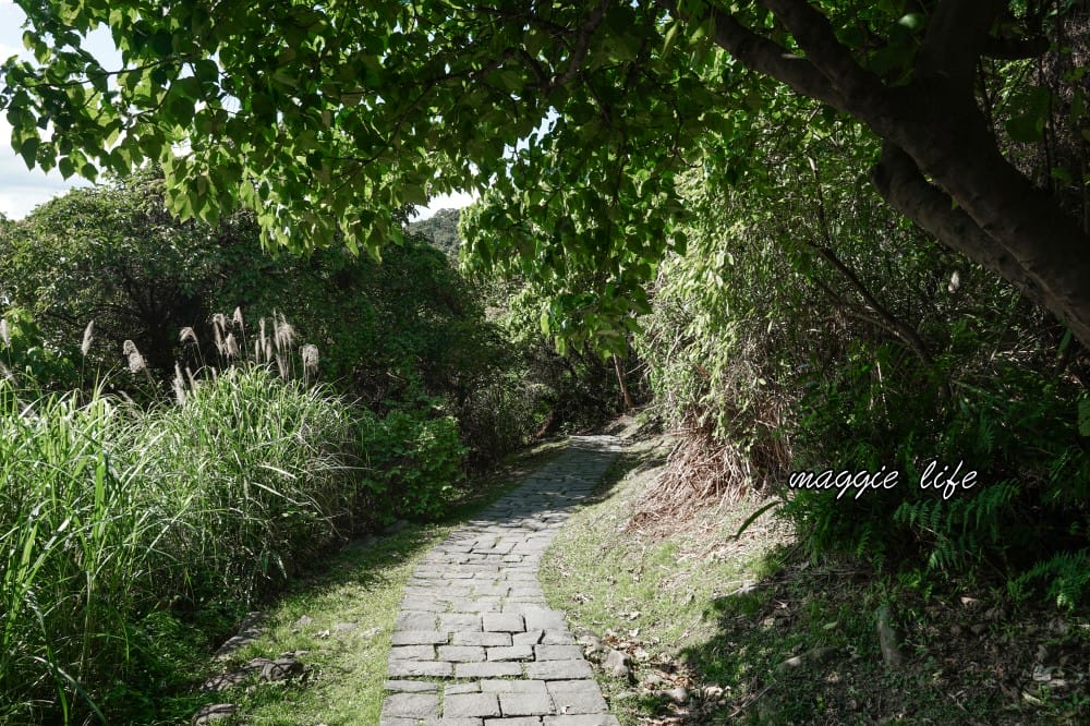 北投硫磺谷步道，走在仙境之中的步道，還有免費泡腳池～