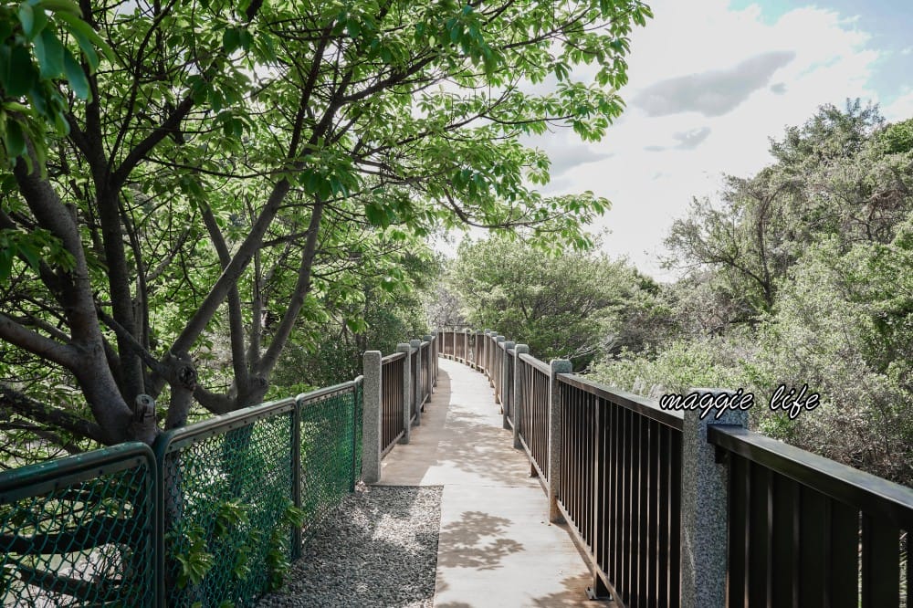 北投硫磺谷步道，走在仙境之中的步道，還有免費泡腳池～