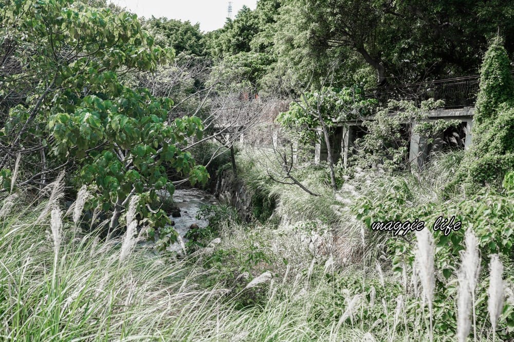 北投硫磺谷｜免費溫泉泡腳池，免費停車免門票，交通指南，地熱谷一日遊美景介紹 @瑪姬幸福過日子