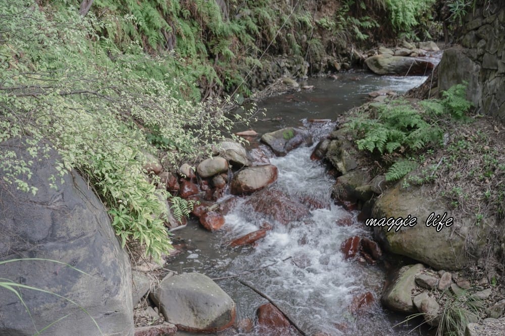 硫磺谷|免費泡腳池,龍鳳谷步道,免門票免費停車,北投一日遊 - 第10張圖 硫磺谷|免費泡腳池,龍鳳谷步道,免門票免費停車,北投一日遊