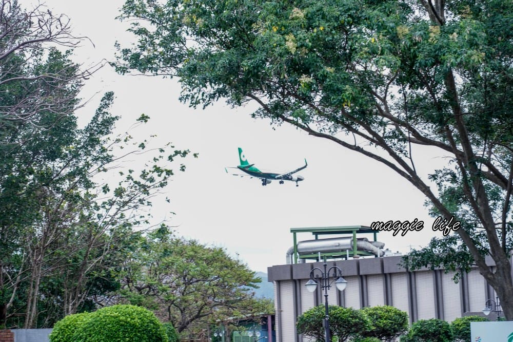 新生公園台北玫瑰園台北玫瑰展|花開了,玫瑰花盛開免費入園,玫瑰展期間交通攻略,24小時都可賞花! - 第11張圖 新生公園台北玫瑰園台北玫瑰展|花開了,玫瑰花盛開免費入園,玫瑰展期間交通攻略,24小時都可賞花!