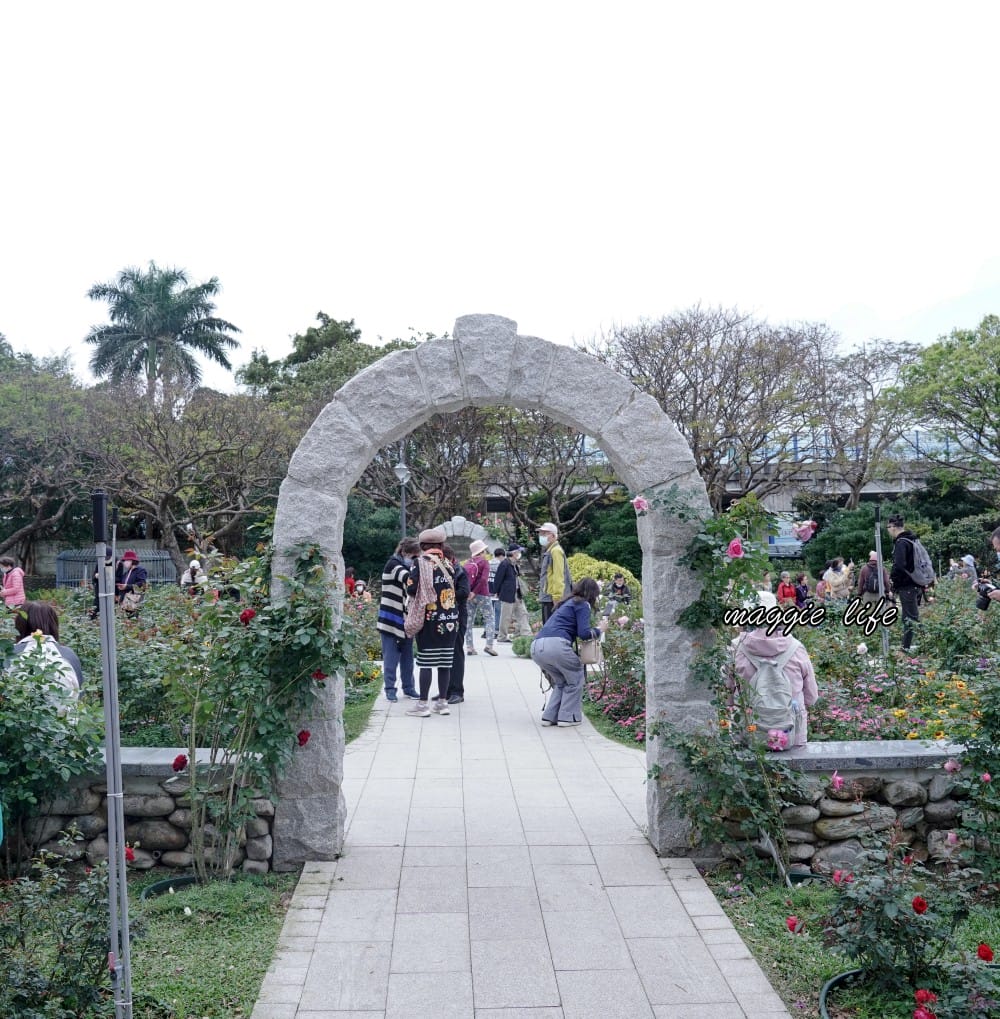 新生公園台北玫瑰園台北玫瑰展｜花開了，玫瑰花盛開免費入園，玫瑰展期間交通攻略，24小時都可賞花！