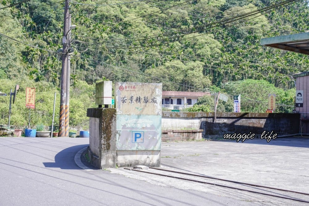 新北三峽景點｜大寮茶文館，日式老屋茶香秘境，隱藏在熊空櫻花下
