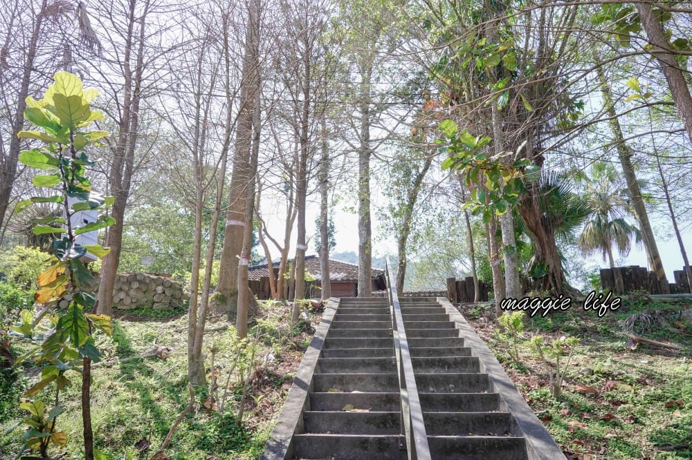 新北三峽景點｜大寮茶文館，日式老屋茶香秘境，隱藏在熊空櫻花下