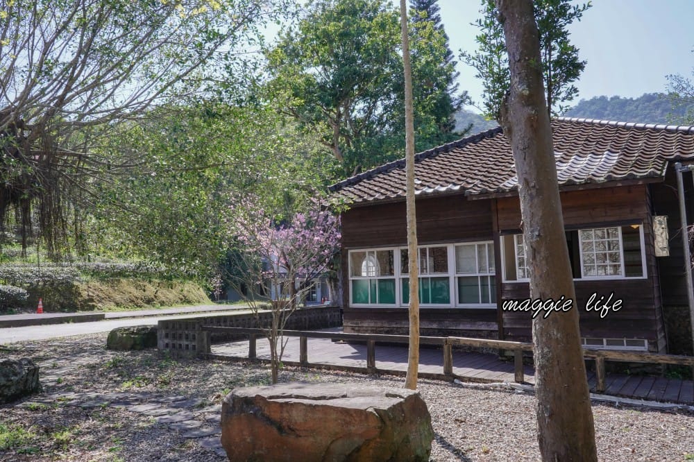 新北三峽景點｜大寮茶文館，日式老屋茶香秘境，隱藏在熊空櫻花下