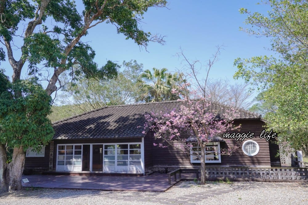 新北三峽景點｜大寮茶文館，日式老屋茶香秘境，隱藏在熊空櫻花下