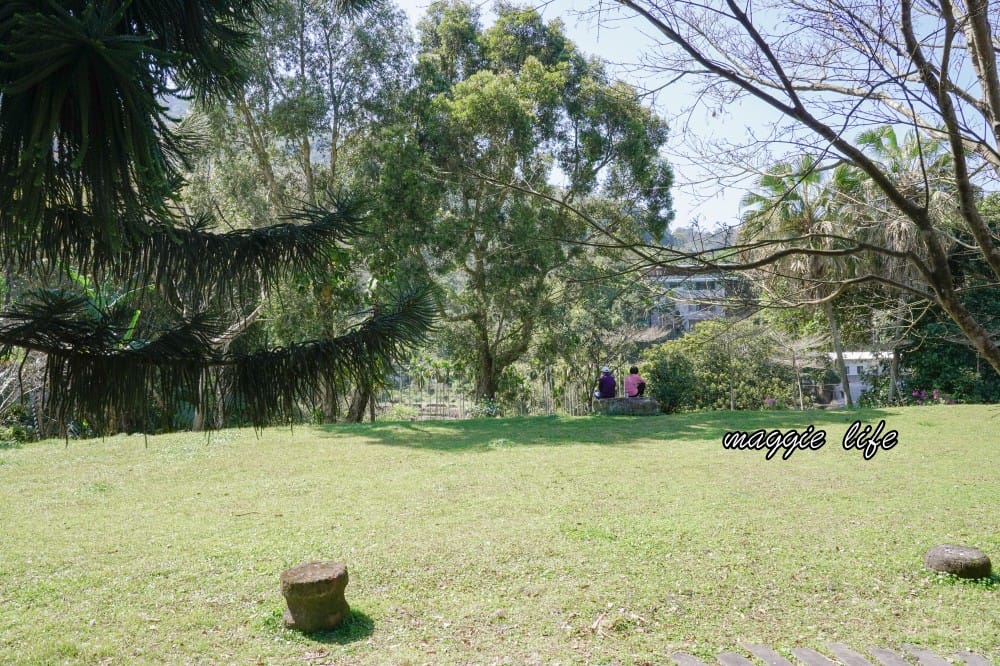 新北三峽景點｜大寮茶文館，日式老屋茶香秘境，隱藏在熊空櫻花下