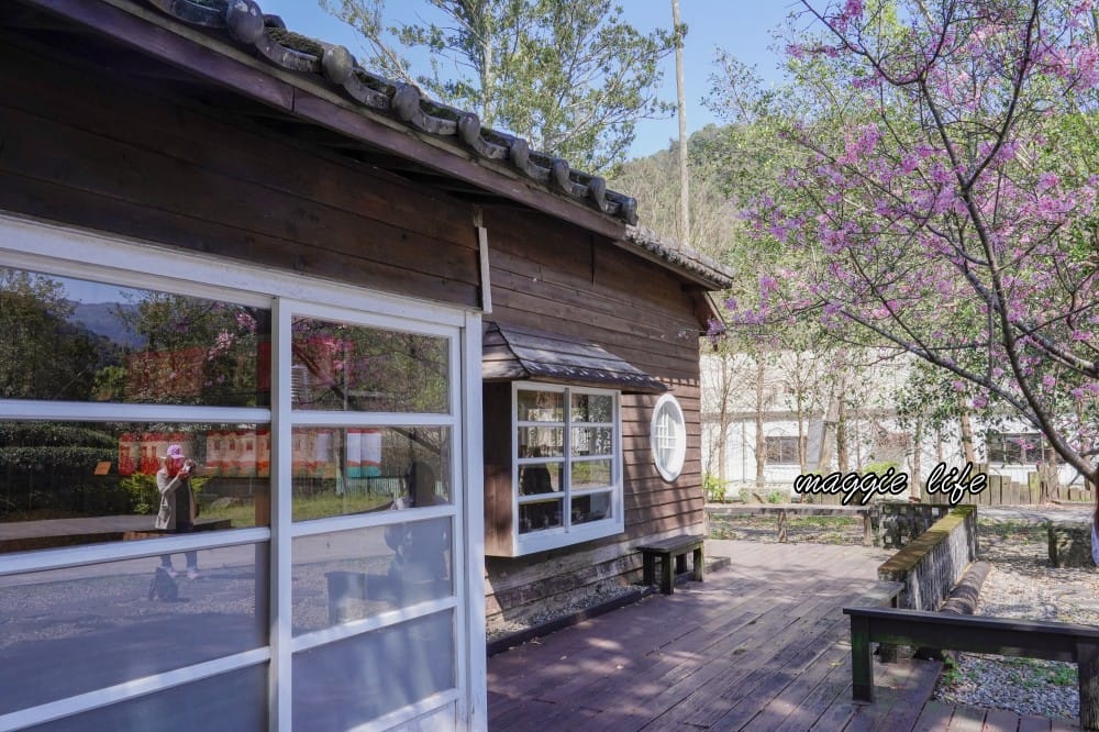 新北三峽景點｜大寮茶文館，日式老屋茶香秘境，隱藏在熊空櫻花下