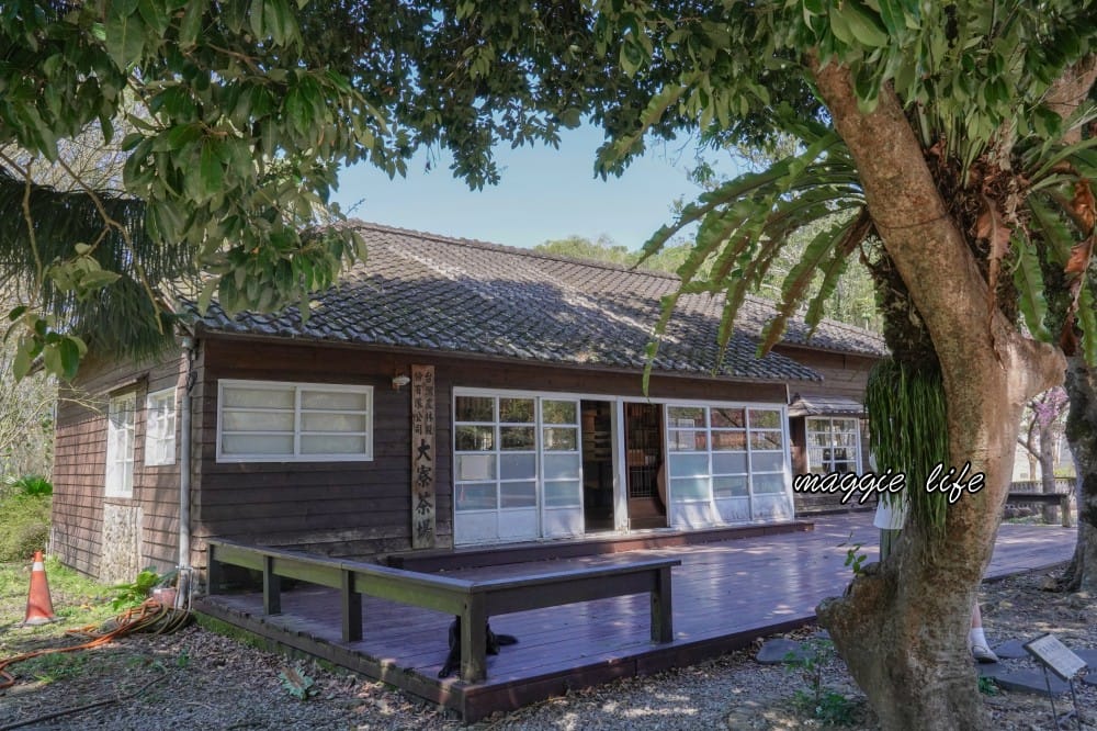 新北三峽景點｜大寮茶文館，日式老屋茶香秘境，隱藏在熊空櫻花下