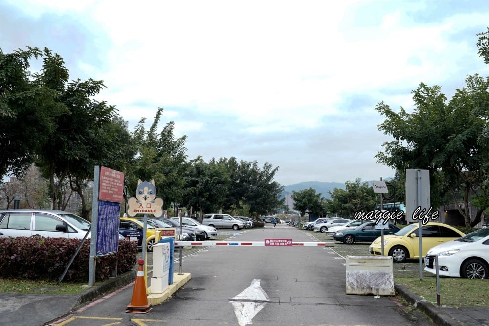 新店陽光運動公園|2025安坑輕軌景點，免費親子景點，櫻花景點，野餐慢跑