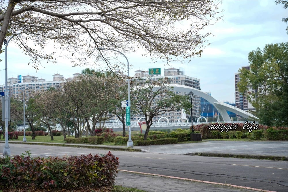 新店陽光運動公園|2025安坑輕軌景點，免費親子景點，櫻花景點，野餐慢跑