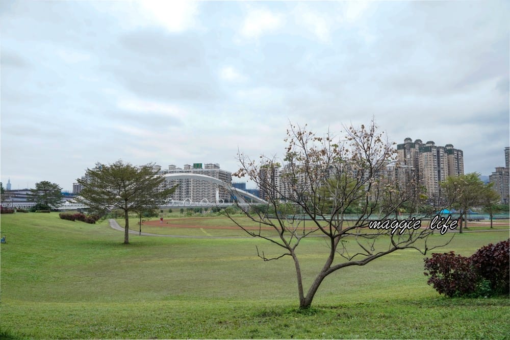 新店陽光運動公園|2025安坑輕軌景點，免費親子景點，櫻花景點，野餐慢跑
