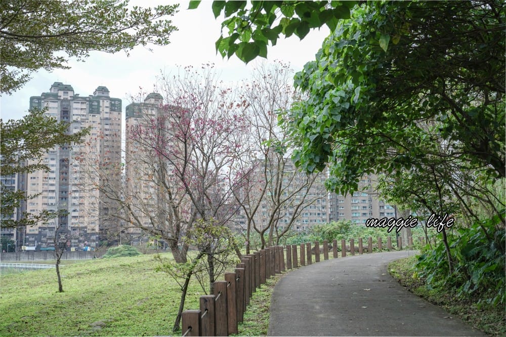 新店陽光運動公園|2025安坑輕軌景點，免費親子景點，櫻花景點，野餐慢跑