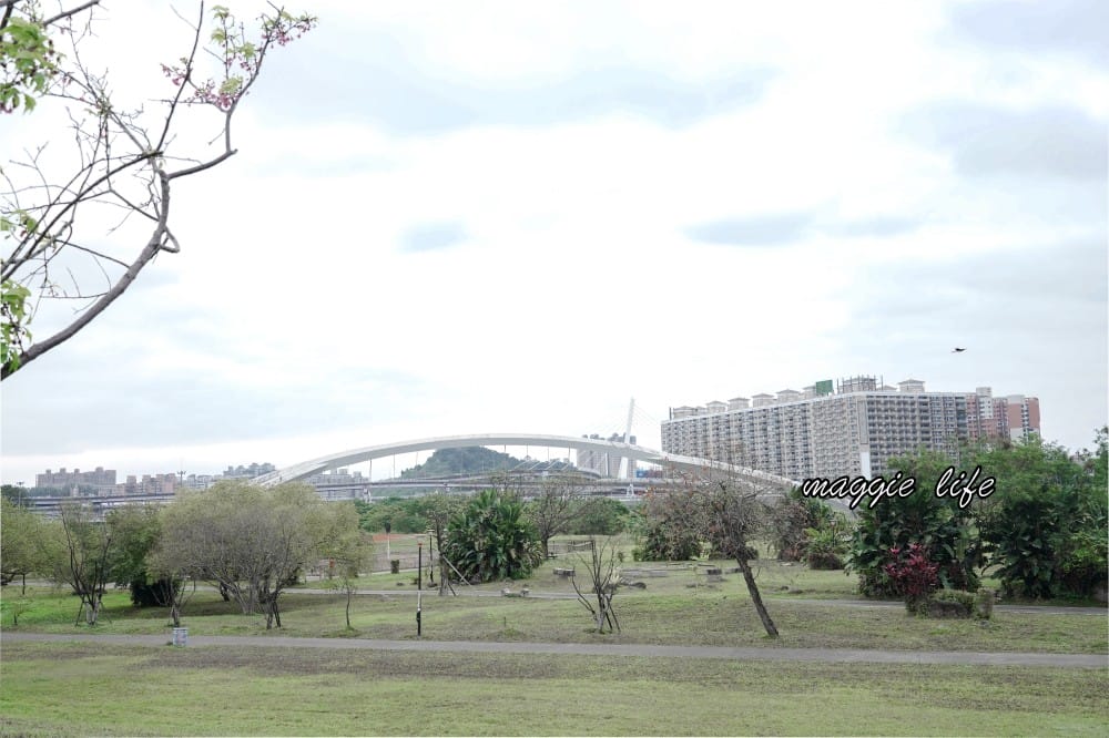 新店陽光運動公園|2025安坑輕軌景點，免費親子景點，櫻花景點，野餐慢跑