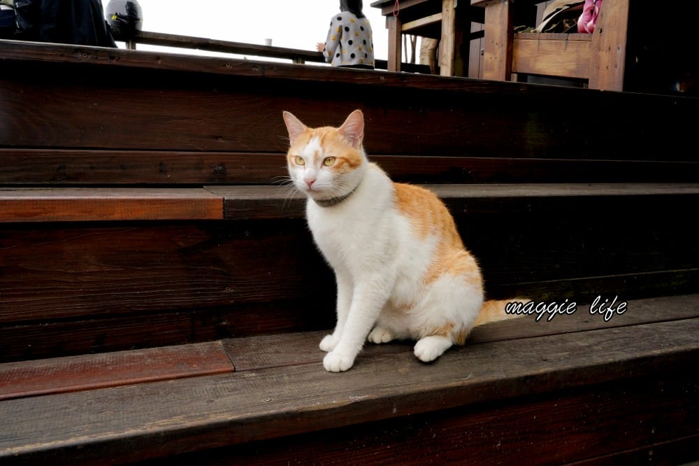 海邊灶咖｜三芝海景第一排咖啡廳，菜單