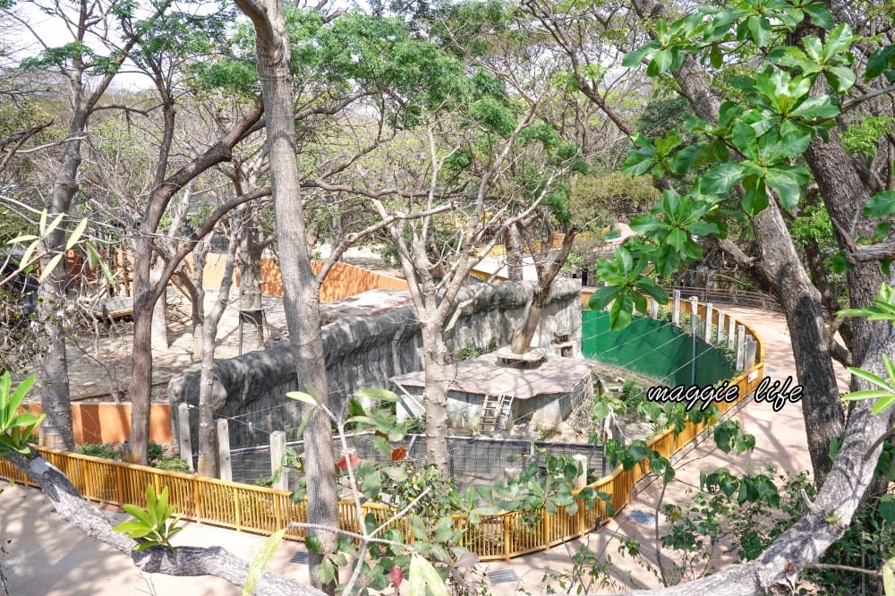 高雄壽山動物園，門票交通，開放時間，導覽地圖，必看動物，南部最大動物園