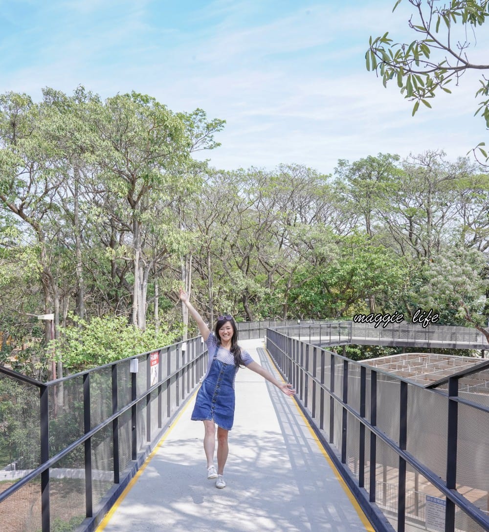 高雄壽山動物園，門票交通，開放時間，導覽地圖，必看動物，南部最大動物園