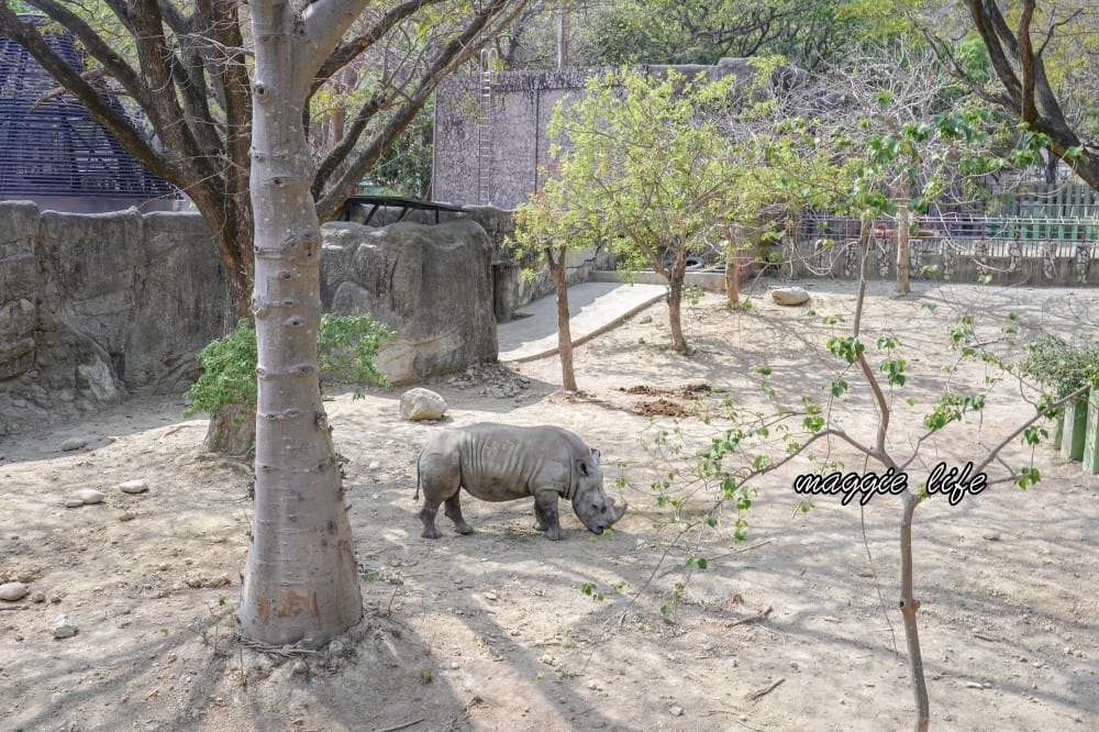 高雄壽山動物園，門票交通，開放時間，導覽地圖，必看動物，南部最大動物園
