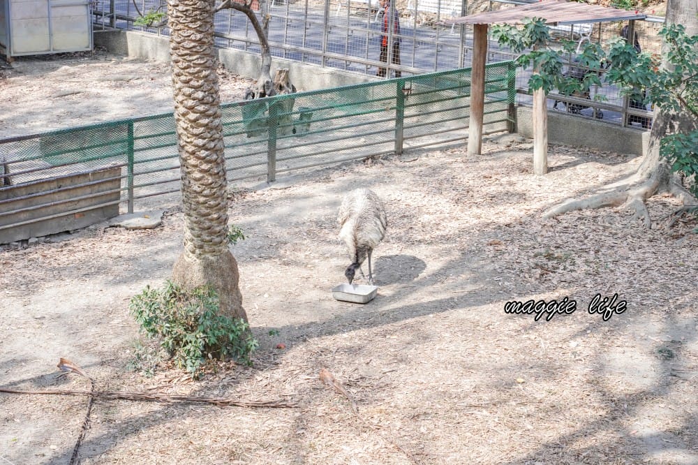 高雄壽山動物園，門票交通，開放時間，導覽地圖，必看動物，南部最大動物園