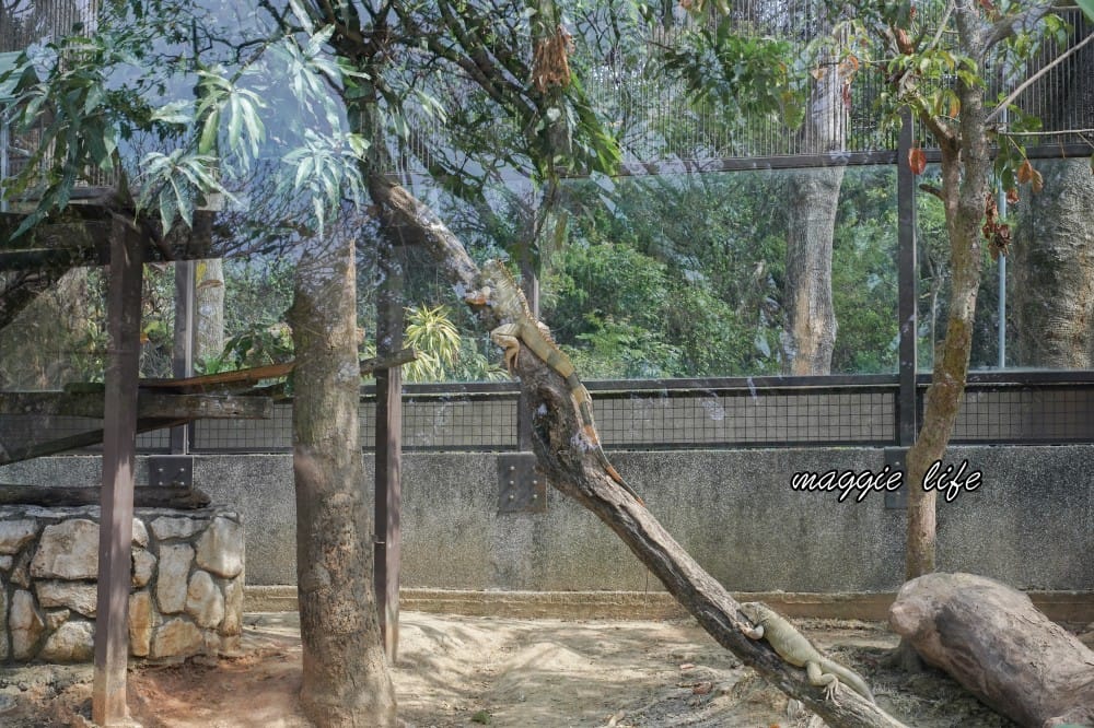 高雄壽山動物園，門票交通，開放時間，導覽地圖，必看動物，南部最大動物園