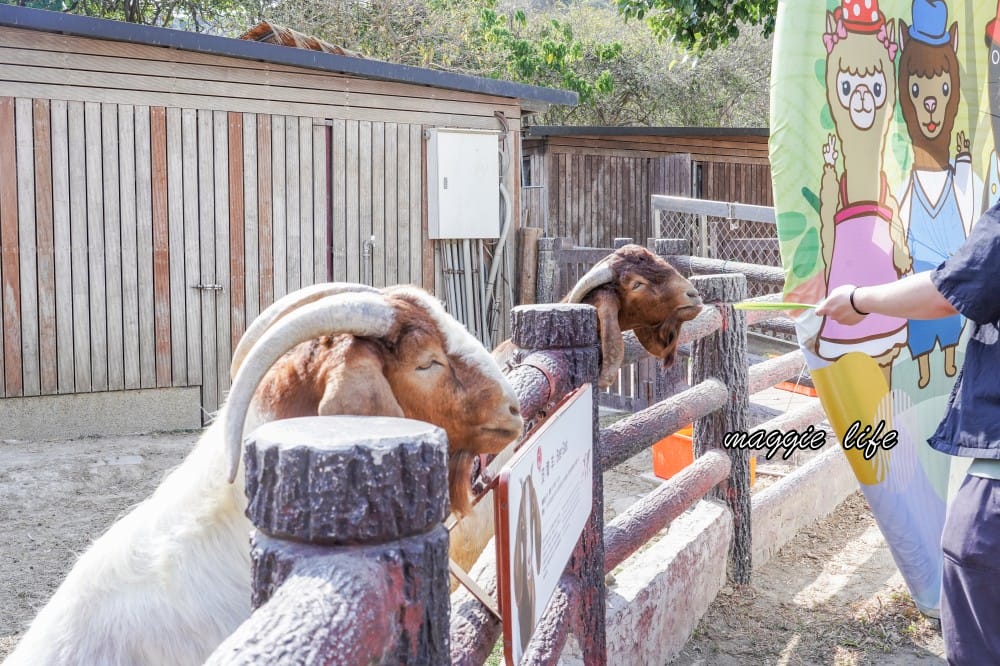 高雄壽山動物園，門票交通，開放時間，導覽地圖，必看動物，南部最大動物園