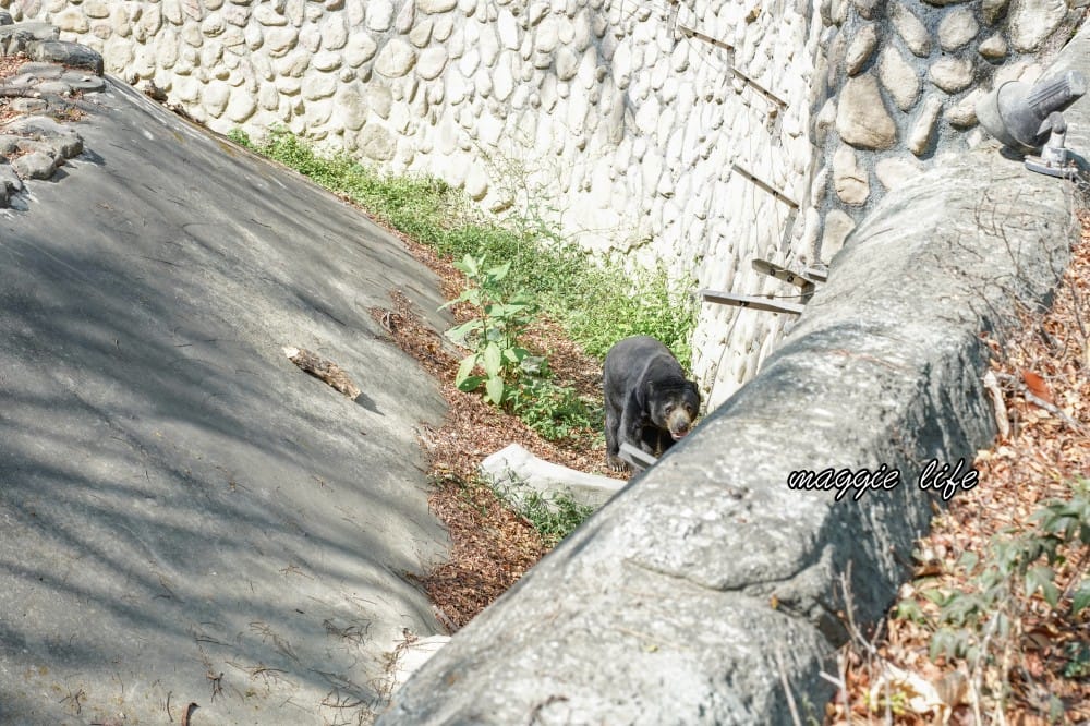高雄壽山動物園，門票交通，開放時間，導覽地圖，必看動物，南部最大動物園