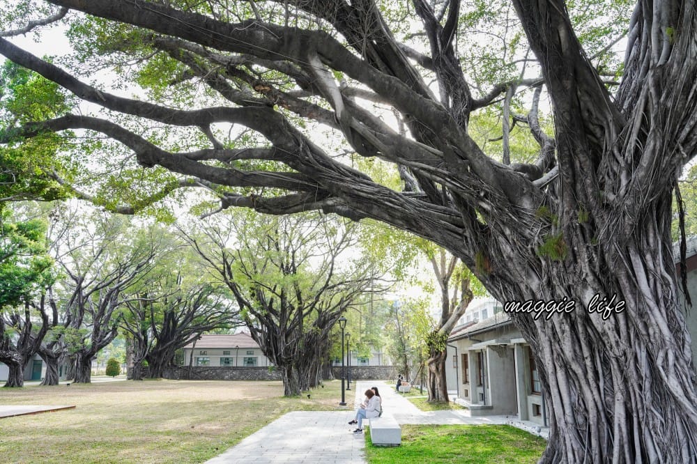 高雄台塑王氏昆仲公園,高雄免費景點,台塑起家厝搖身一變成為文創園區,假日有市集! - 第21張圖 高雄台塑王氏昆仲公園,高雄免費景點,台塑起家厝搖身一變成為文創園區,假日有市集!