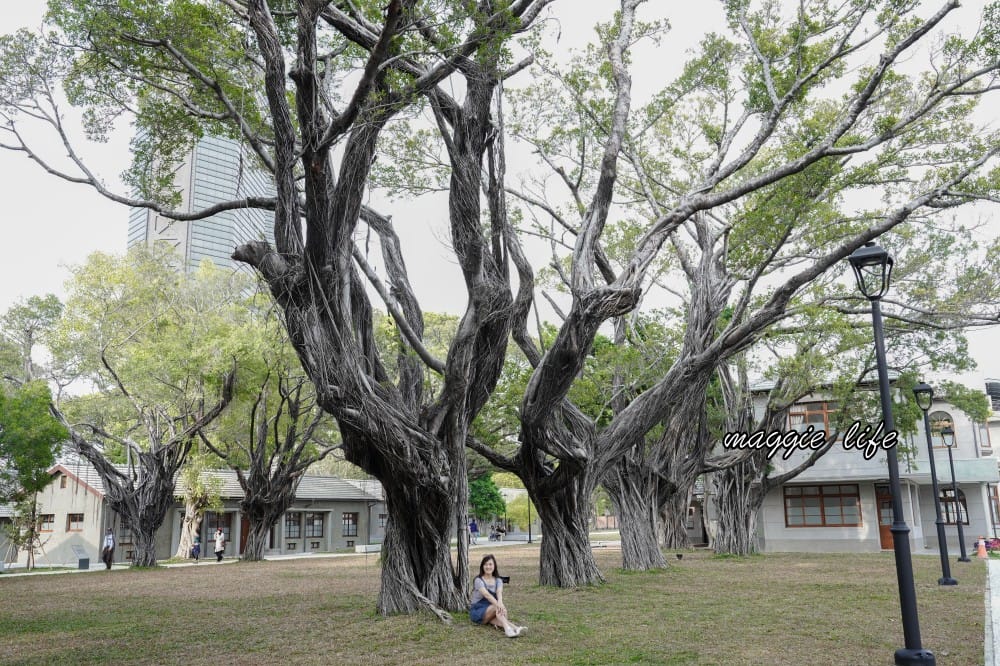 高雄台塑王氏昆仲公園,高雄免費景點,台塑起家厝搖身一變成為文創園區,假日有市集! - 第22張圖 高雄台塑王氏昆仲公園,高雄免費景點,台塑起家厝搖身一變成為文創園區,假日有市集!
