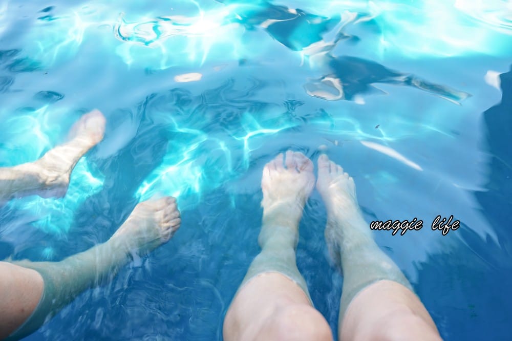 北投泉源公園泡腳池園區｜北投免費足湯青磺泉泡腳溫泉，交通指南