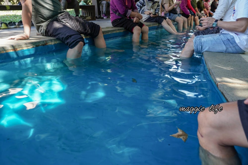 北投泉源公園泡腳池園區｜北投免費足湯青磺泉泡腳溫泉，交通指南