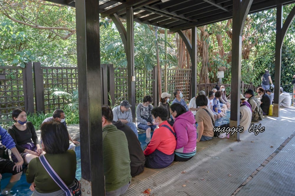 北投泉源公園泡腳池園區｜北投免費足湯青磺泉泡腳溫泉，交通指南
