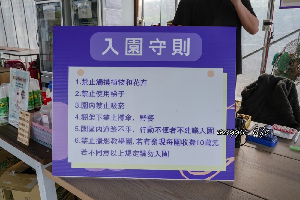 2025全台最大淡水紫藤花咖啡園花開了！紫色花海風暴限時兩週快去拍，交通門票花期時間通通告訴你