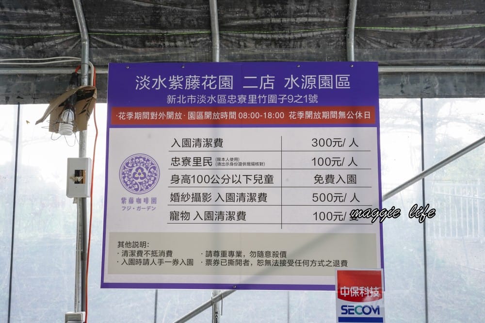 2025全台最大淡水紫藤花咖啡園花開了！紫色花海風暴限時兩週快去拍，交通門票花期時間通通告訴你