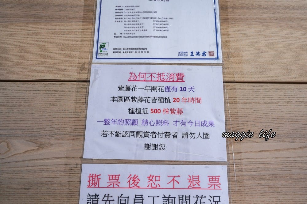 2025全台最大淡水紫藤花咖啡園花開了！紫色花海風暴限時兩週快去拍，交通門票花期時間通通告訴你