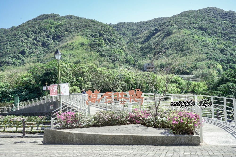 2023萬金杜鵑花展賞花攻略|免費拍,200 公尺杜鵑花見小路超美必拍,還有小溪秘境,花展交通資訊 - 第2張圖 2023萬金杜鵑花展賞花攻略|免費拍,200 公尺杜鵑花見小路超美必拍,還有小溪秘境,花展交通資訊