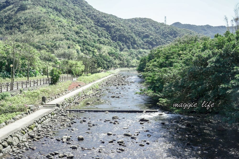 2023萬金杜鵑花展賞花攻略｜免費拍，200 公尺杜鵑花見小路超美必拍，還有小溪秘境，花展交通資訊