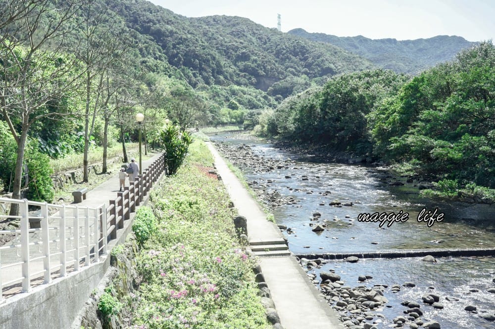 2023萬金杜鵑花展賞花攻略｜免費拍，200 公尺杜鵑花見小路超美必拍，還有小溪秘境，花展交通資訊
