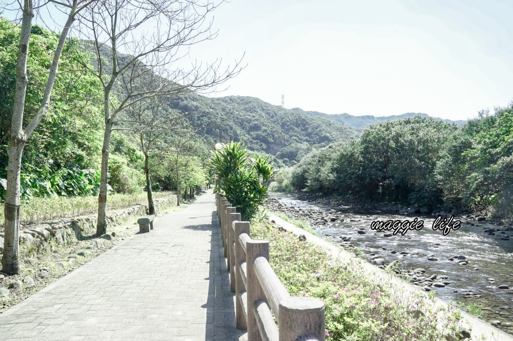 2023萬金杜鵑花展賞花攻略|免費拍,200 公尺杜鵑花見小路超美必拍,還有小溪秘境,花展交通資訊 - 第29張圖 2023萬金杜鵑花展賞花攻略|免費拍,200 公尺杜鵑花見小路超美必拍,還有小溪秘境,花展交通資訊