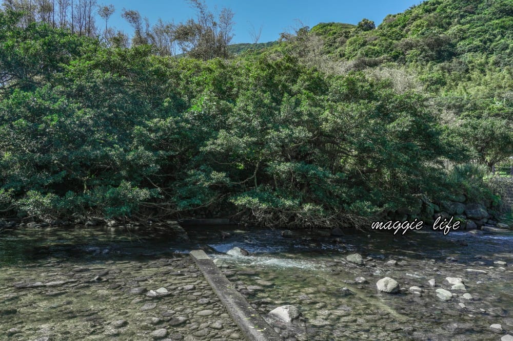 2023萬金杜鵑花展賞花攻略｜免費拍，200 公尺杜鵑花見小路超美必拍，還有小溪秘境，花展交通資訊