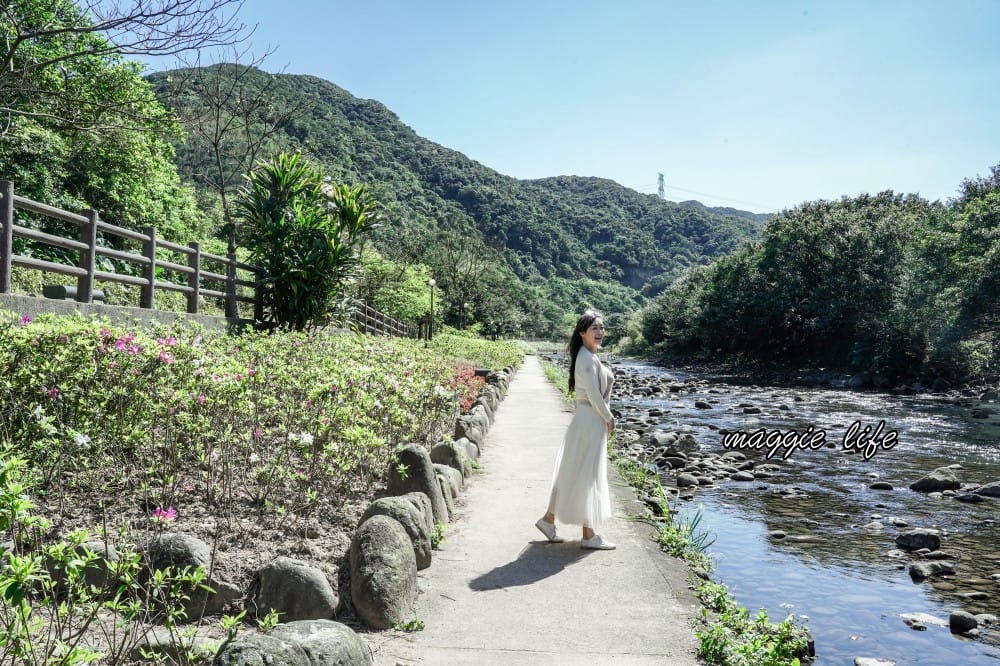 2023萬金杜鵑花展賞花攻略｜免費拍，200 公尺杜鵑花見小路超美必拍，還有小溪秘境，花展交通資訊