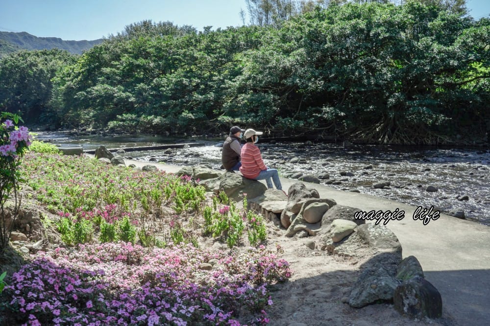2023萬金杜鵑花展賞花攻略|免費拍,200 公尺杜鵑花見小路超美必拍,還有小溪秘境,花展交通資訊 - 第36張圖 2023萬金杜鵑花展賞花攻略|免費拍,200 公尺杜鵑花見小路超美必拍,還有小溪秘境,花展交通資訊