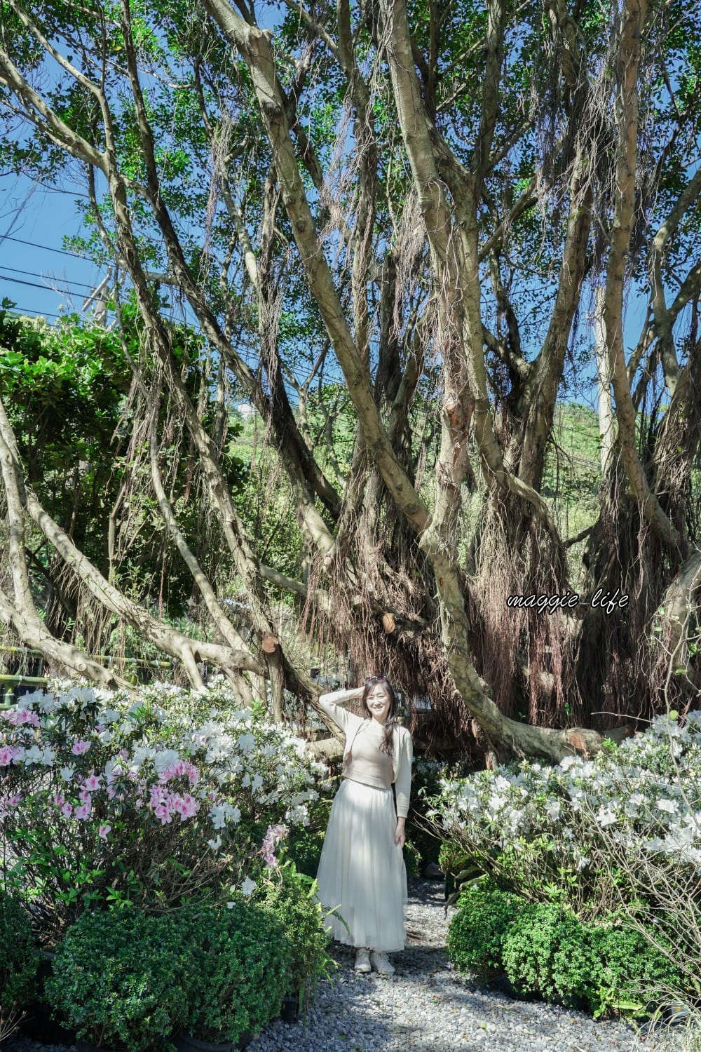 2023萬金杜鵑花展賞花攻略|免費拍,200 公尺杜鵑花見小路超美必拍,還有小溪秘境,花展交通資訊 - 第16張圖 2023萬金杜鵑花展賞花攻略|免費拍,200 公尺杜鵑花見小路超美必拍,還有小溪秘境,花展交通資訊
