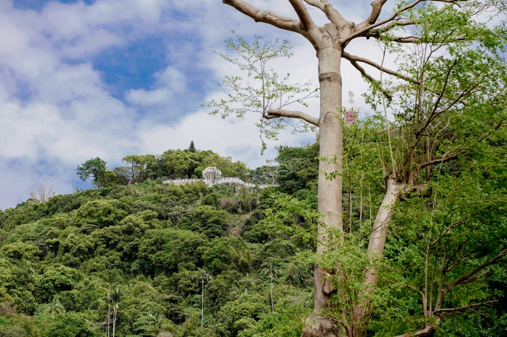 台北北眼平台,微風平台,劍潭山步道白色圓球360度景觀,台北約會新景點 - 第2張圖 台北北眼平台,微風平台,劍潭山步道白色圓球360度景觀,台北約會新景點