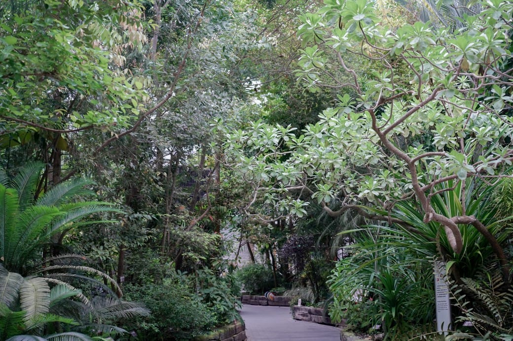 台北典藏植物園，免費森林打卡景點充滿芬多精，親子景點雨天備案