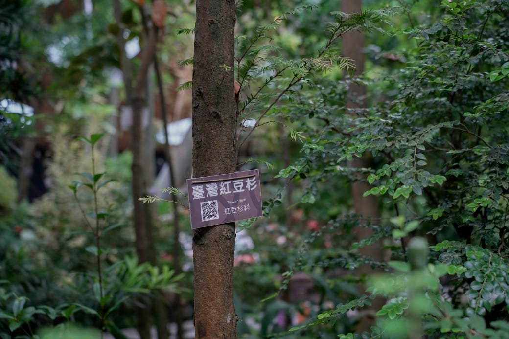 台北典藏植物園，免費森林打卡景點充滿芬多精，親子景點雨天備案